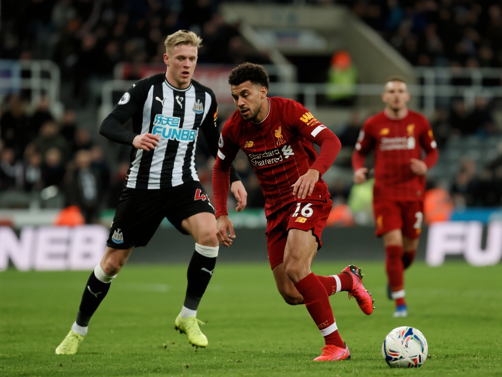 需要特别提 需要特别提